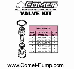 COMET PUMP VALVE KIT AXD #5025.0014.00